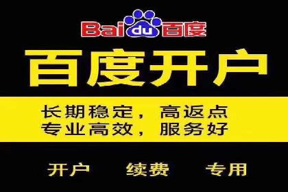 竞价推广公司案例分析：成功案例解析